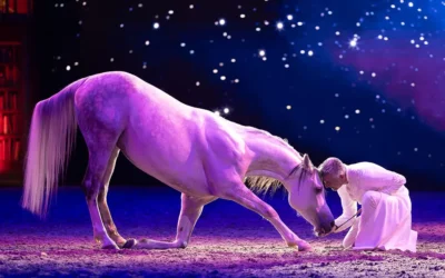 G. Horses e Giona Show alla Fiera di Sant’Alessandro